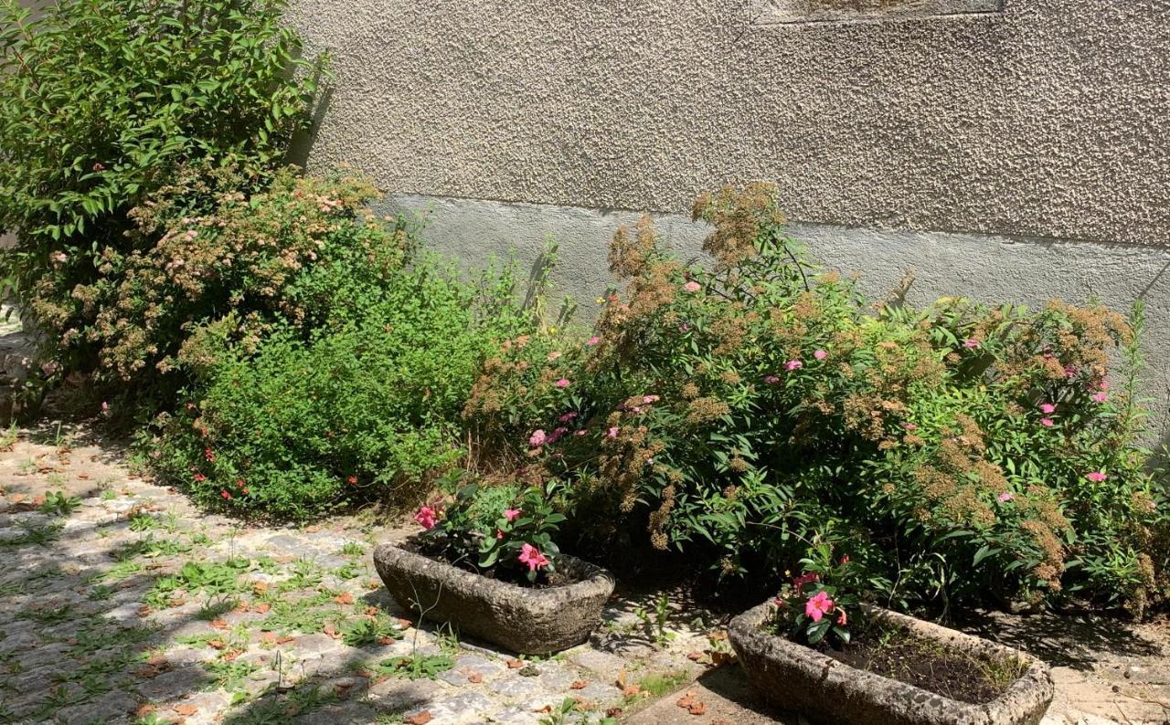 La Cour Pavee, T2 Lumineux, Cosy, Confort 55 M2 Saint-Léonard-de-Noblat المظهر الخارجي الصورة